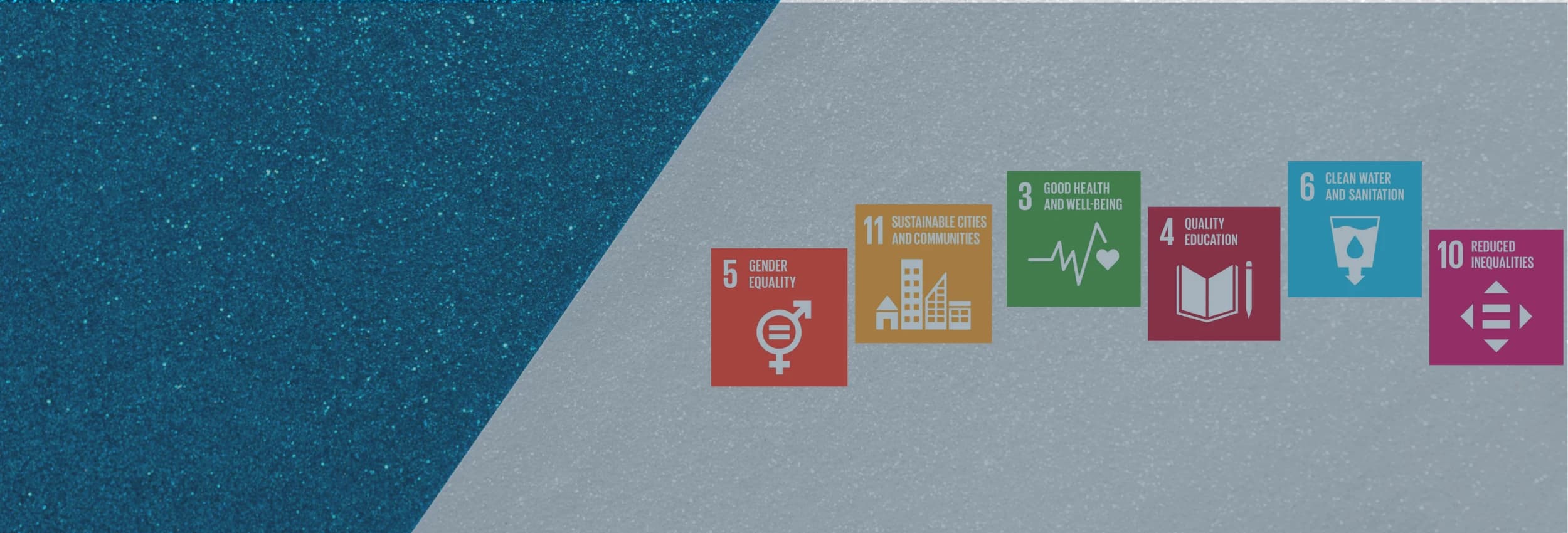 Sustainable Development Goals Banner