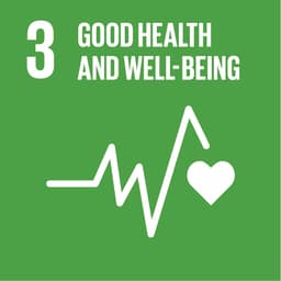 UN Sustainable Development Goal 3: Good Health and Well-being symbol
