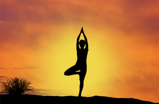 Yoga & Holistic Wellness